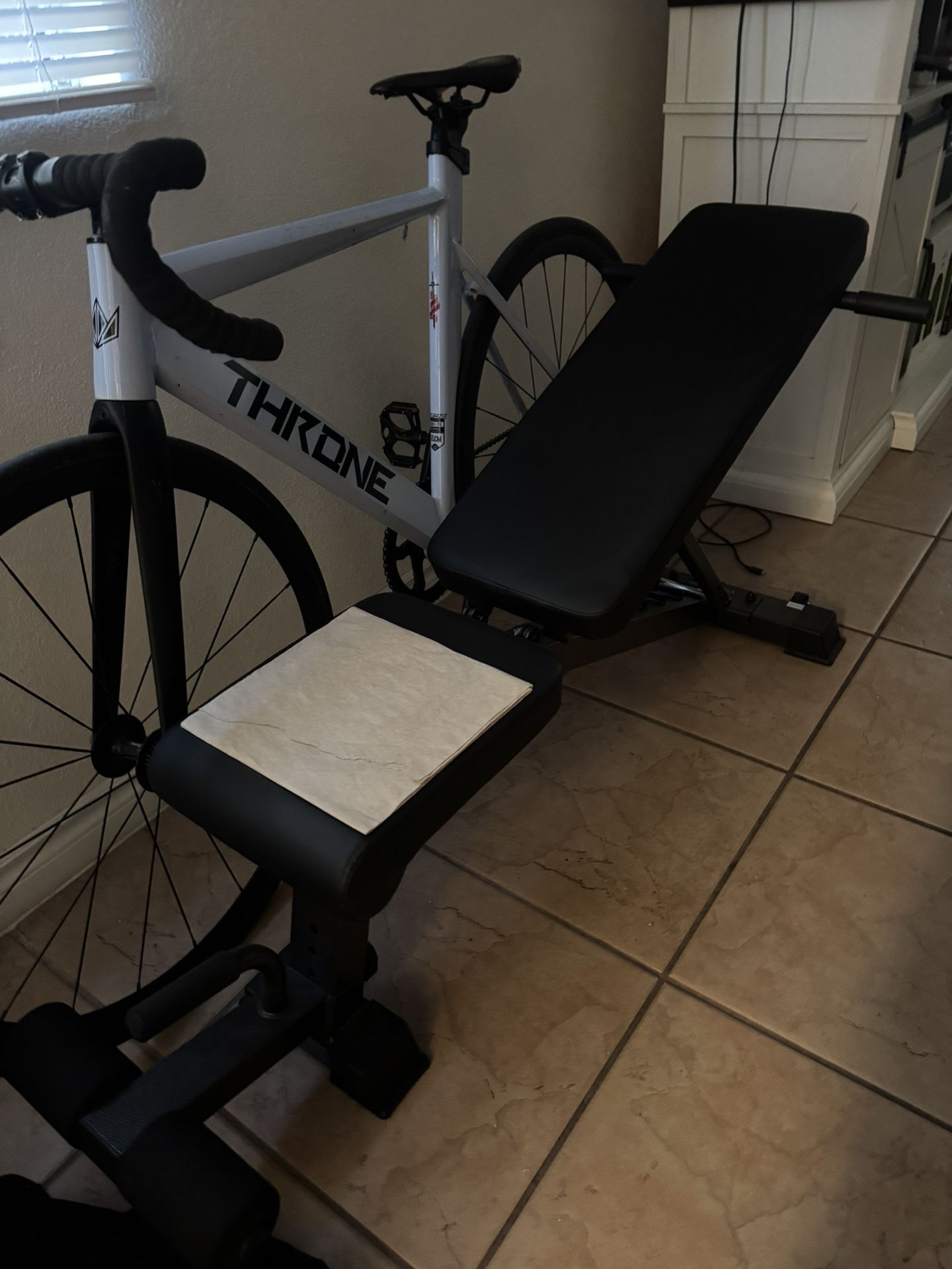 Workout Bench