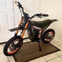 Pegasus electric dirt bike
