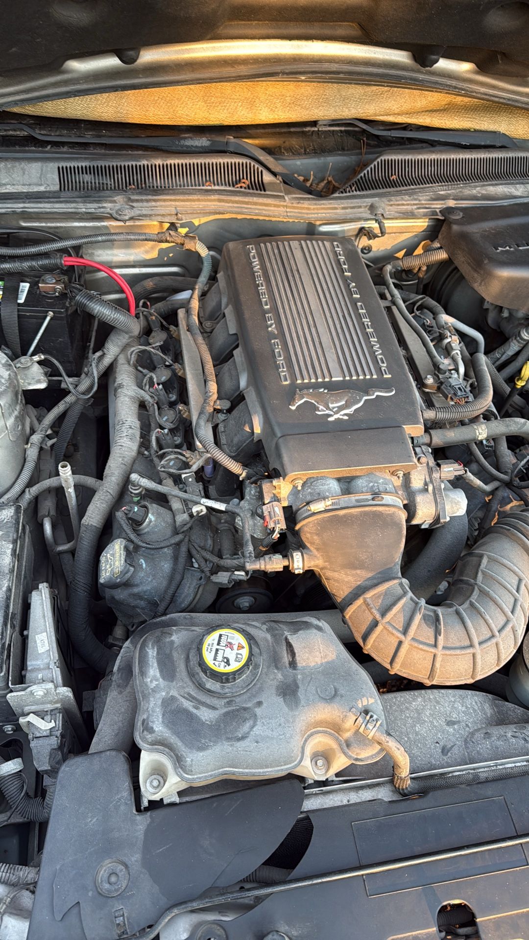 2005-2010 GT v8 Motor