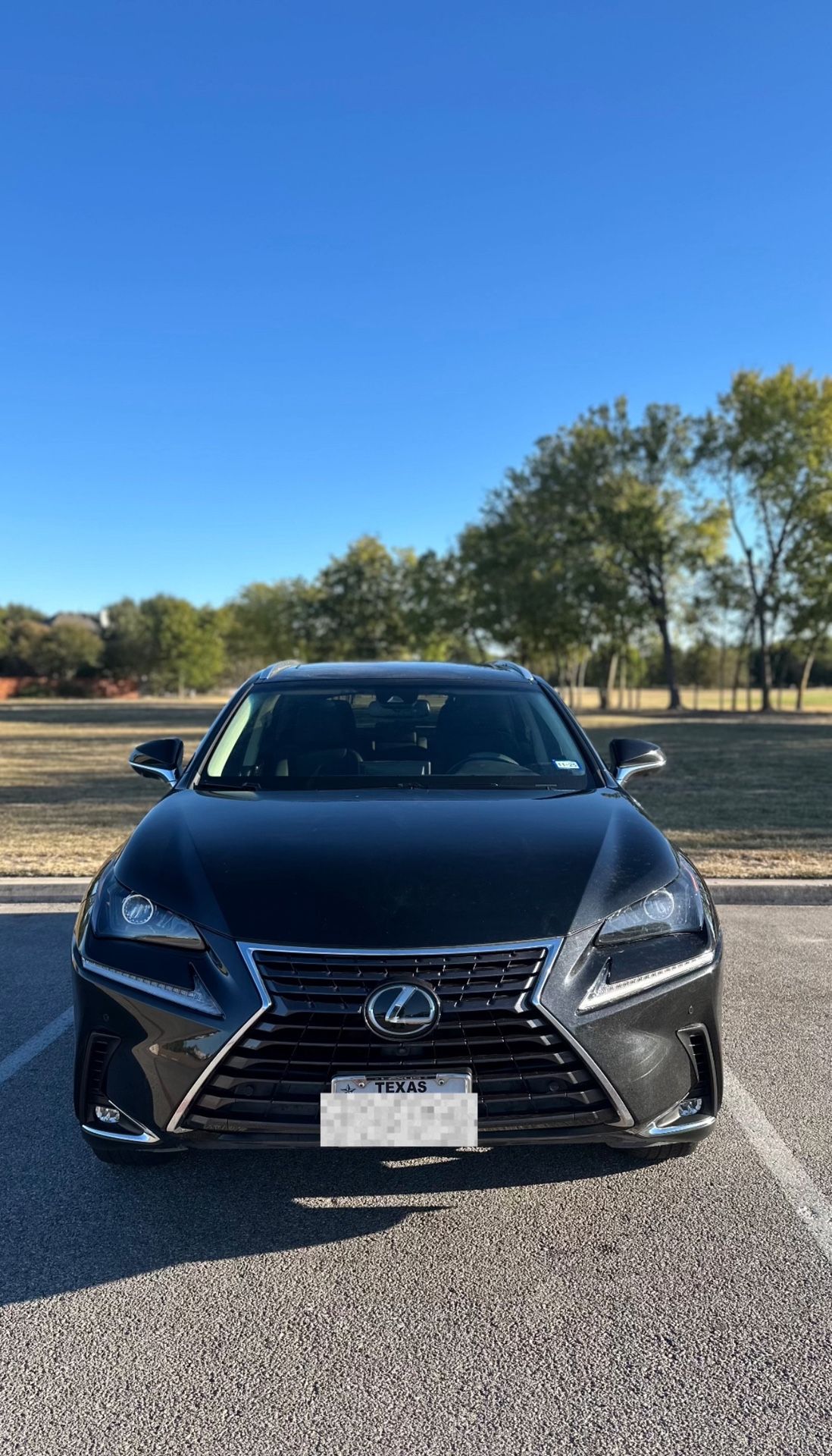 2019 Lexus NX 300