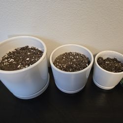 6 Flower Pots + Soil