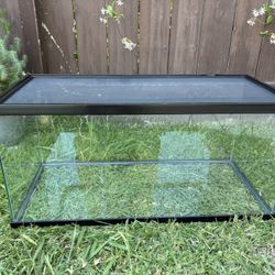 Lizard Terrarium 