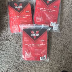 Back Support Belts 