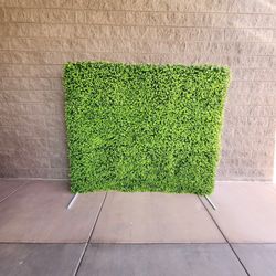 Backdrop Available 