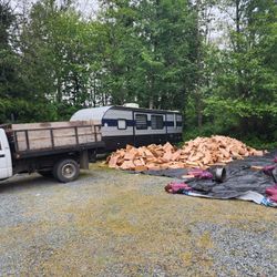 Camping Firewood 🏕 