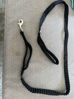 Dog Leash 