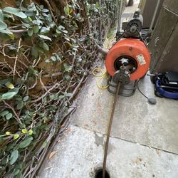 Drain Snake