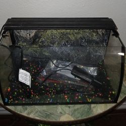Fish  tank 