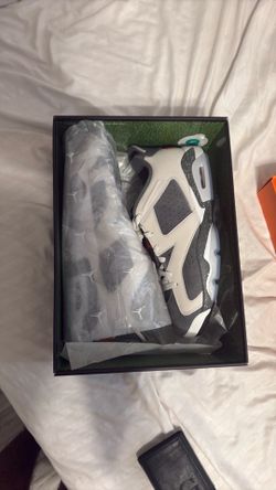 Paris Saint Germain Jordan 6s Retro Low size 11.5