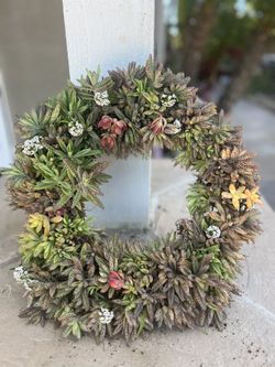 One Of A Kind kalanchoe Succulent Wreath
