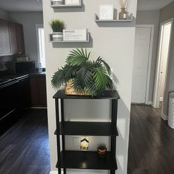Wall Picture & Accessories 