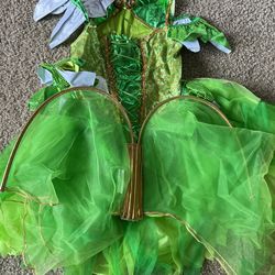 Fairy Costume