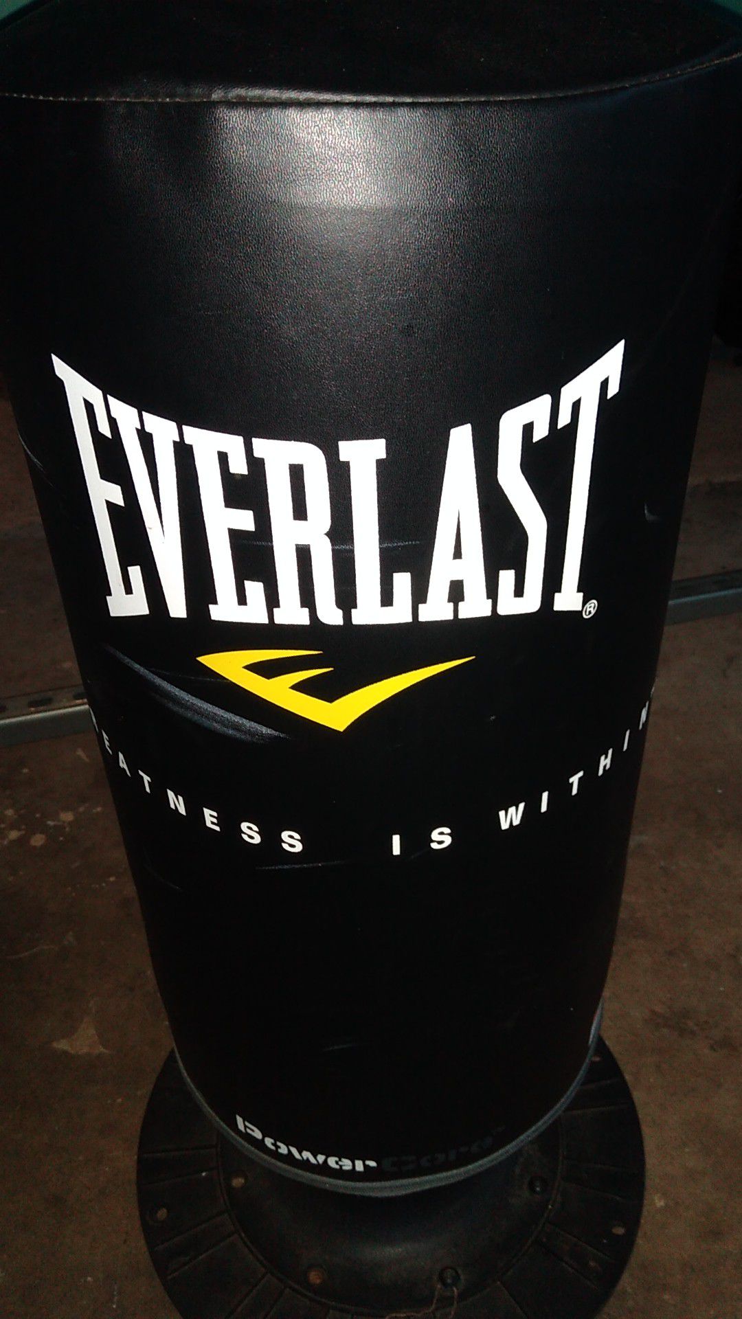Everlast punching bag without base