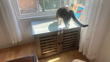 Litter Box Furniture, Side table, End table
