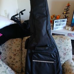 Guitars spectrum six string case zippered Instruments musical.