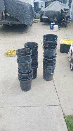Pots 5 gal and 15 gal
