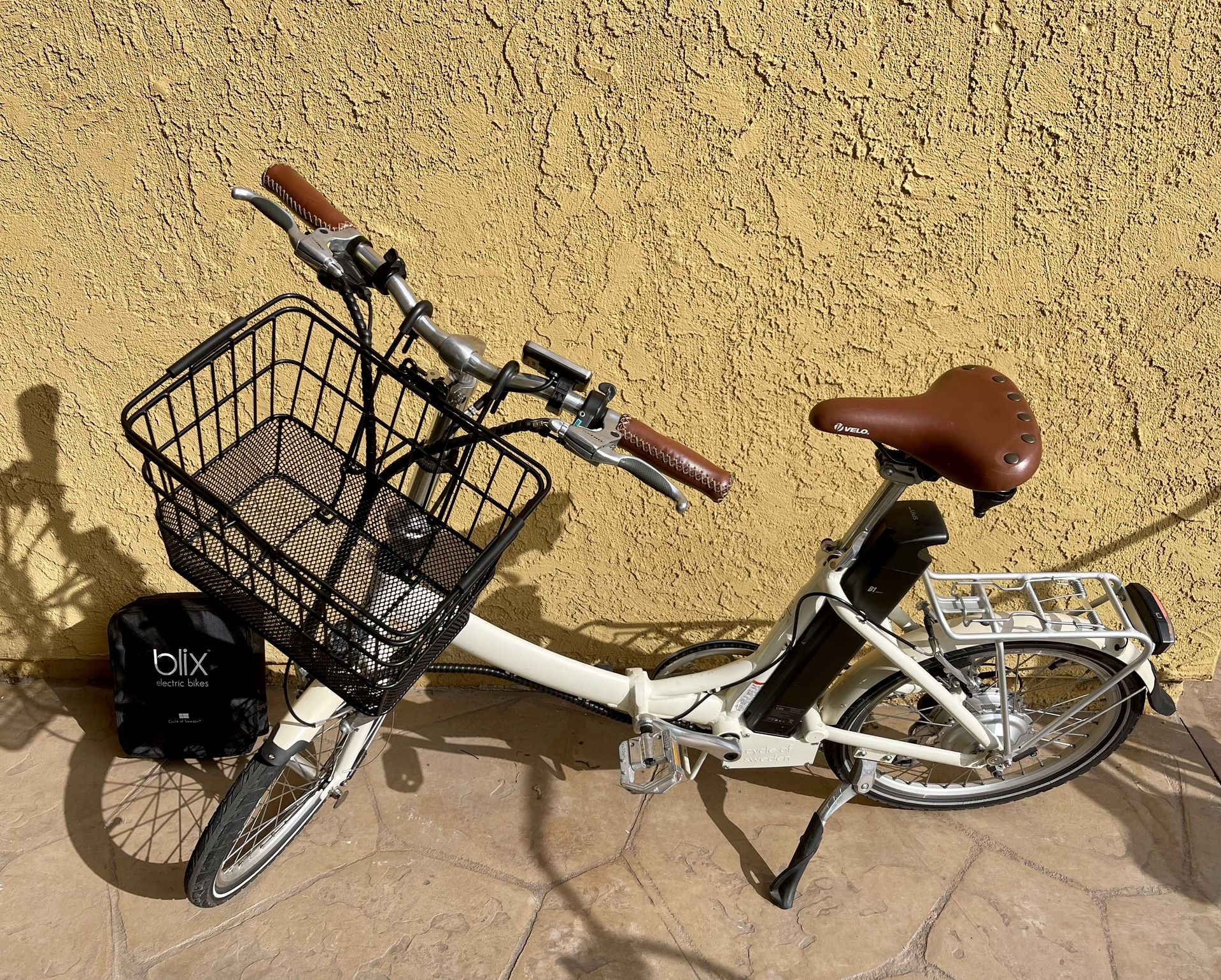 vika-electric-bike-ppgbbe-intranet-biologia-ufrj-br