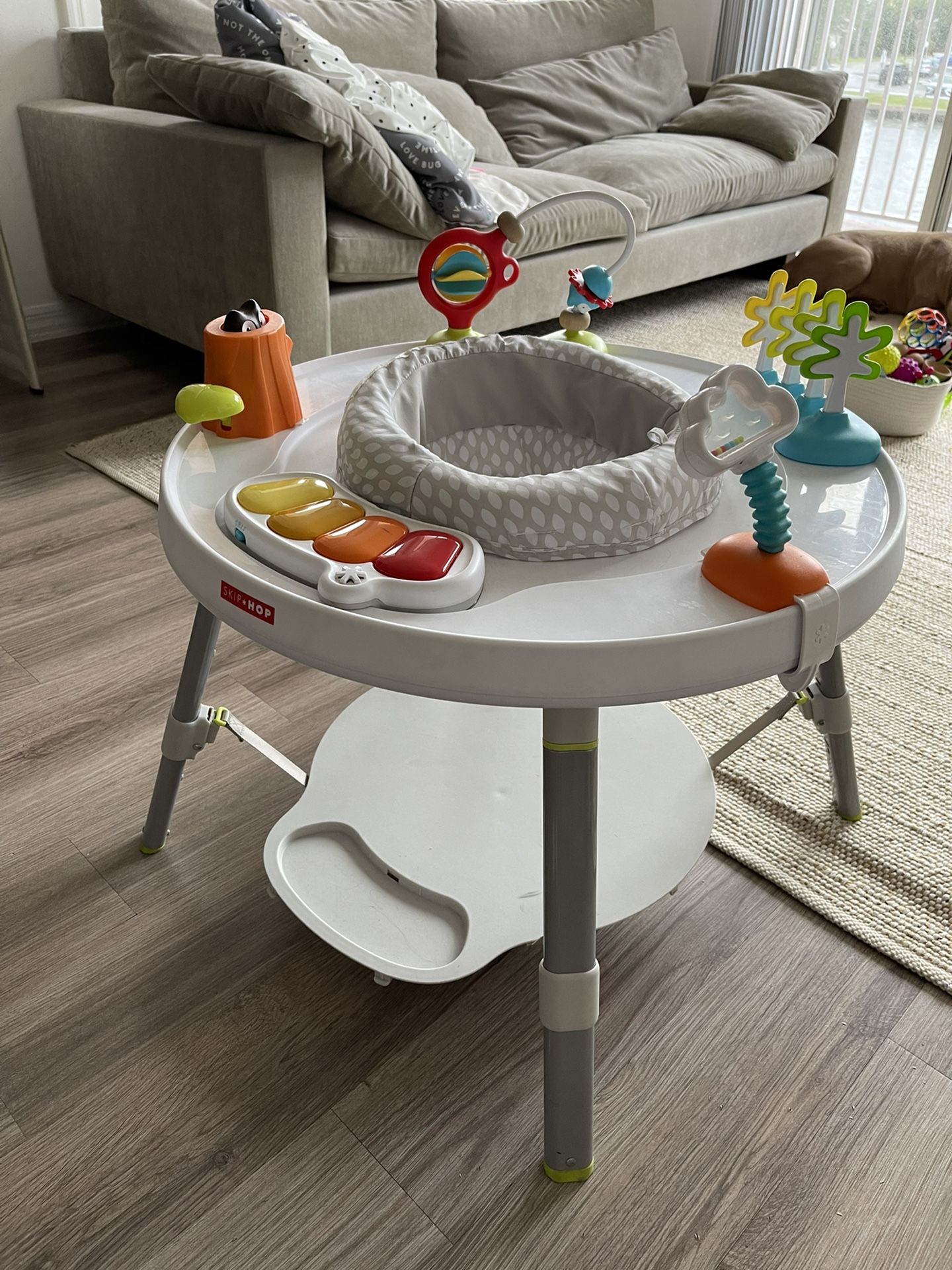 Skip Hop Baby Activity Center 