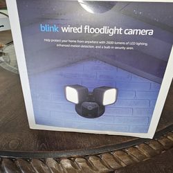 Blink Flood and Camera 