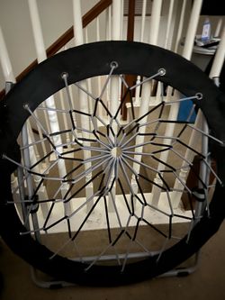 Folding Bungee Chair