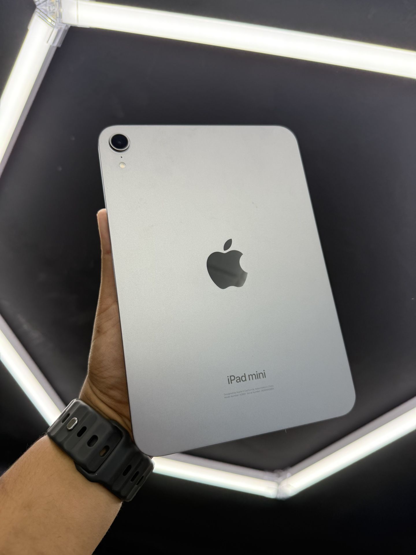 iPad 7 (newest)