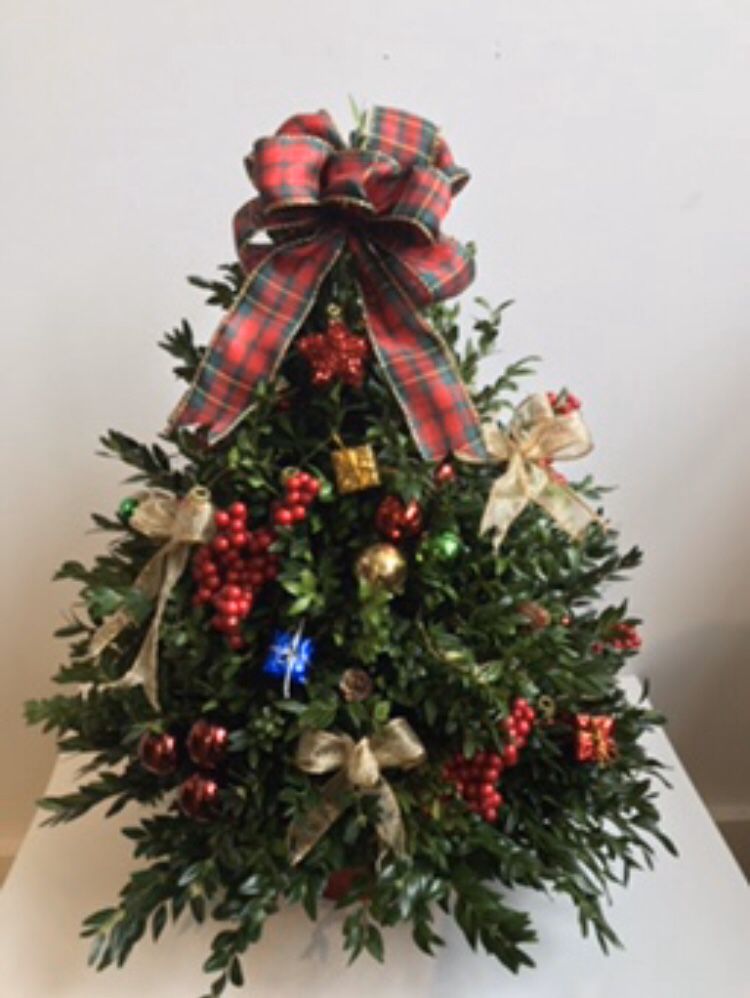 Decorated Mine Boxwood Christmas Trees