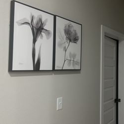 2 Bedroom 1 Bath 