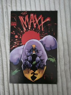 The Maxx Comic Book Lot