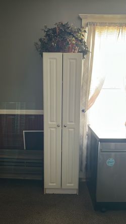 Kitchen cabinet