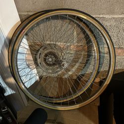 Schwinn Bike Tires .