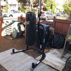 Punching Bag With Stand  No (Speed Bag)