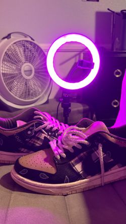 NIKE SB DUNKS LOW