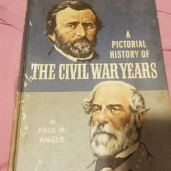 The Civil war years. book