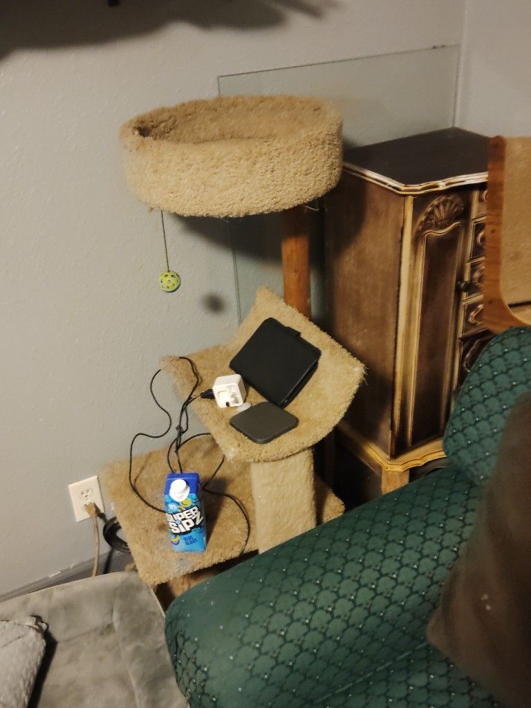 Cat Tree