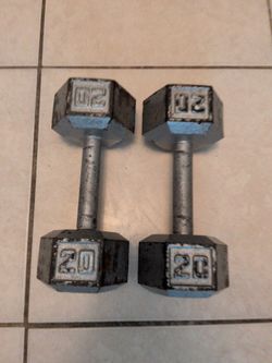 20lb dumbbells /weights