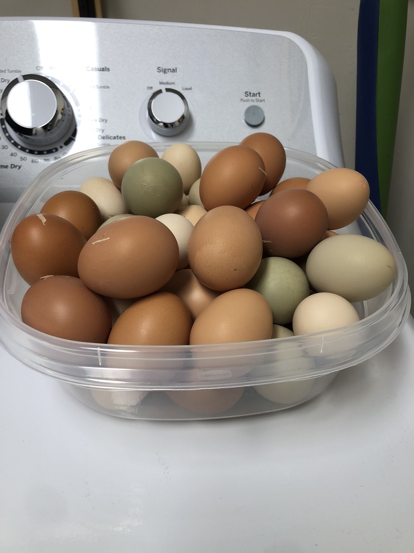 Fresh Farm Chicken Eggs