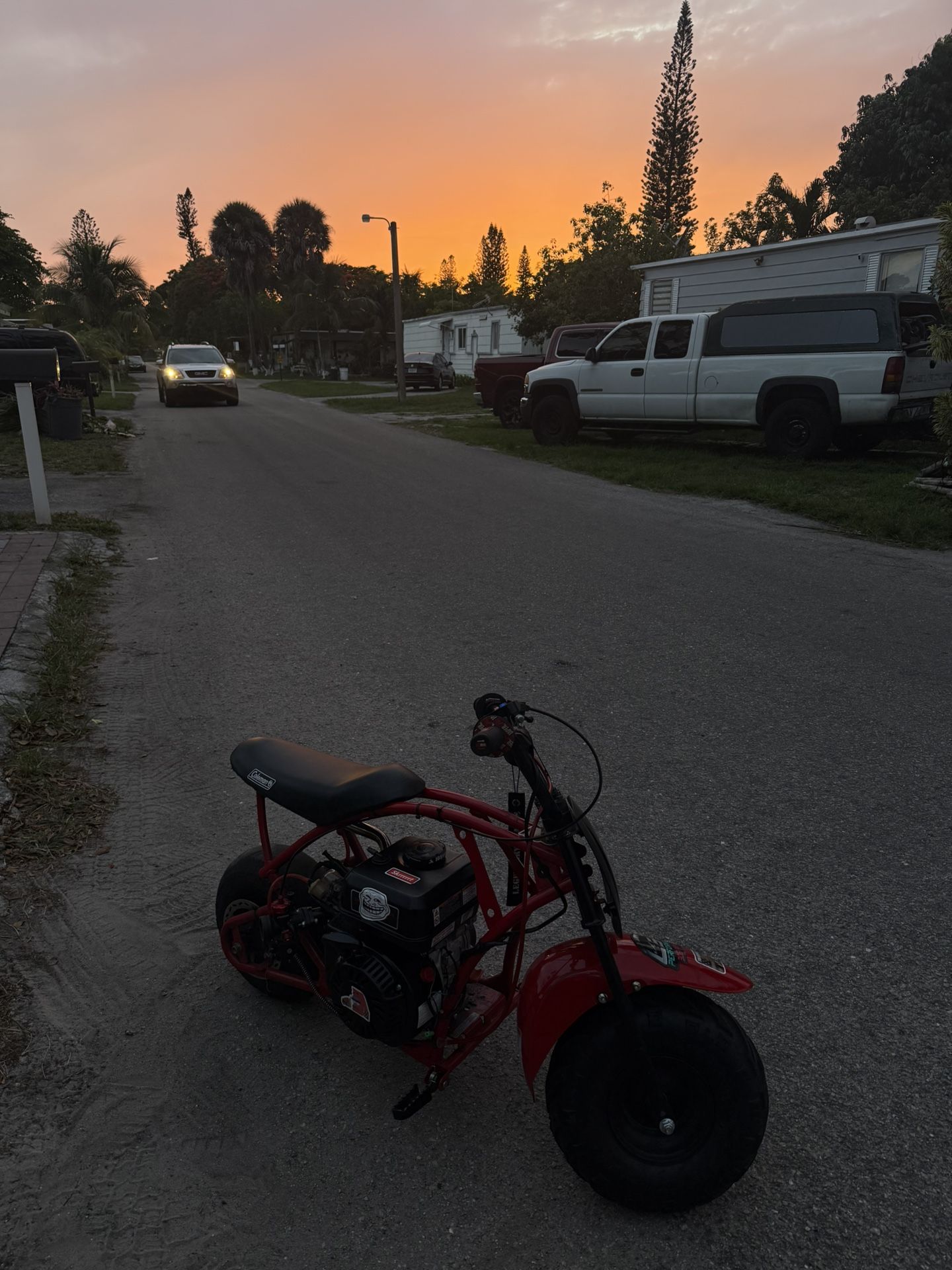 Mini Bike