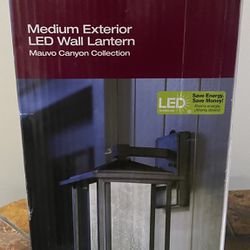 Home Decorators Collection Black Outdoor LED Medium Wall Light New