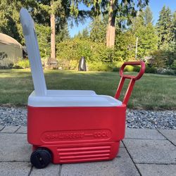 Cooler (with wheels!) 