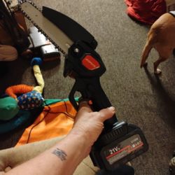 21 Volt Hand Held Battery Operated Mini Chainsaw 