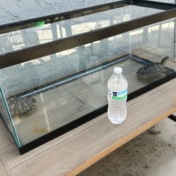 Reptile Tank With Decorations 