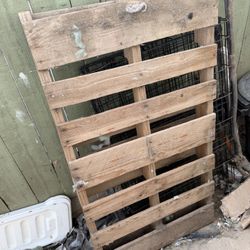 Free? Pallet