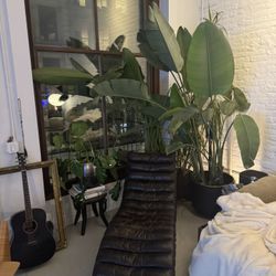 Tons Of Gorgeous Plants, Zen Coffee Table, Ochre paris Massive Mirrors Set, Faux Fig Tree And Pots