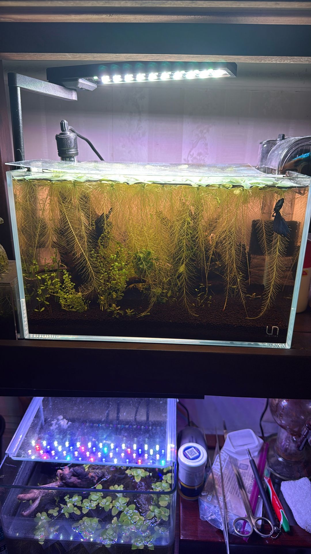 Aquarium