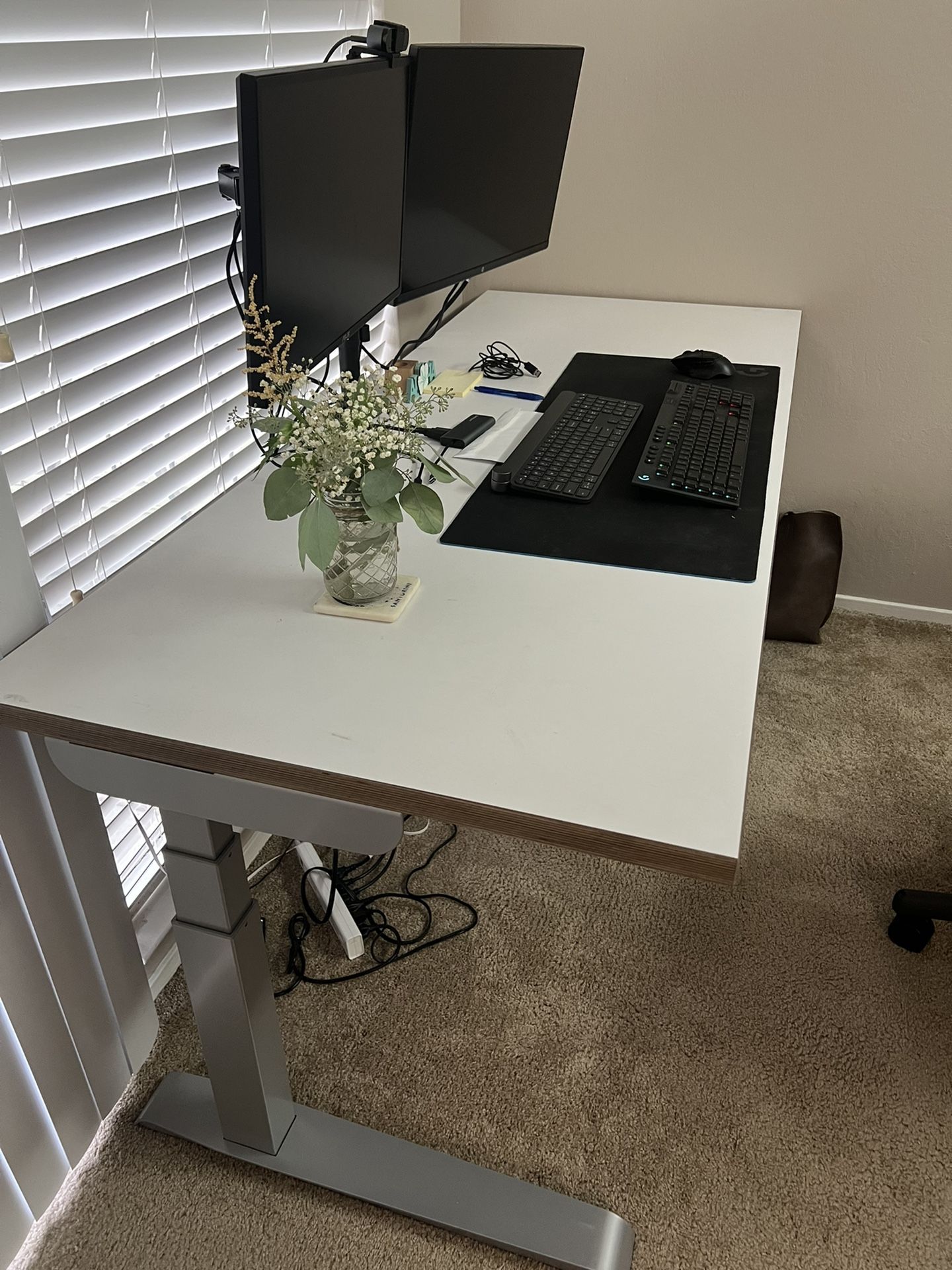 ROL Ergo Standing Desk Adjustable