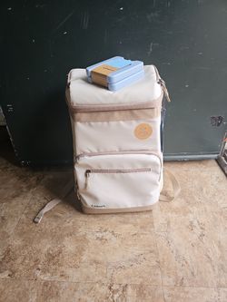 Backpack Cooler With 2 Ice Block Set