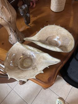 Decorative Glass Shells