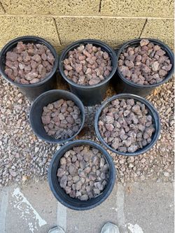 FREE Rocks