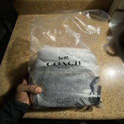 Grey Coach Crossbody Bag 