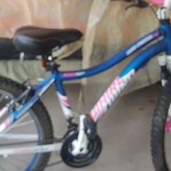 Whirlwind Mountain Bike 